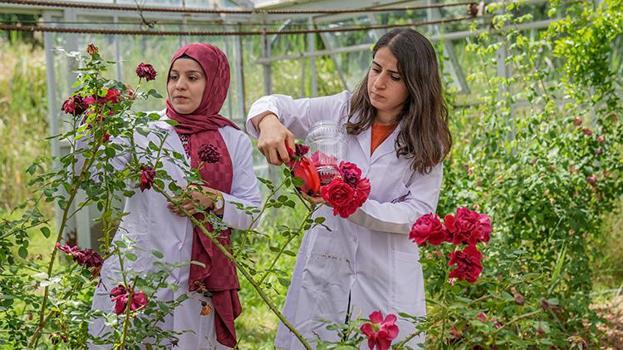 Diyarbakırlı kadınlar devlet desteğiyle girişimci oldu! Markalarını kurdular, patentleri çıkardılar; şifalı ürünlerini dünyaya satacaklar