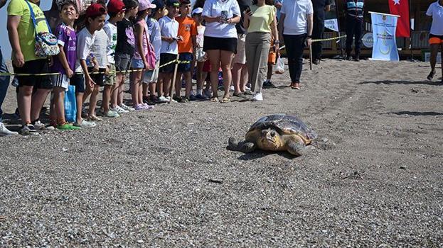 Ağır yaralı bulunan deniz kaplumbağası sağlığına kavuşup Akdeniz'e bırakıldı