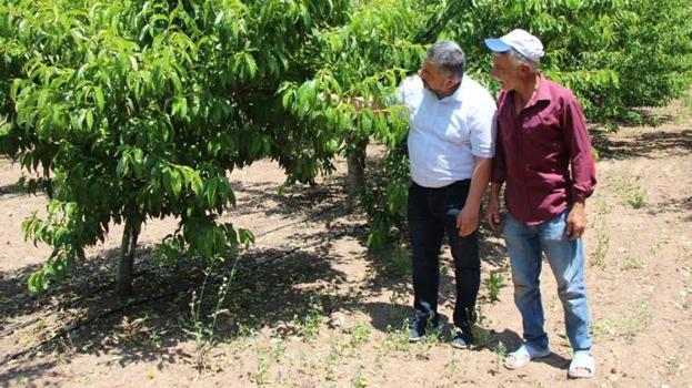 Türkiye'nin üretim deposuydu, 1 tane bile yok! Köylüler şokta: Bahçeye gidesim gelmiyor