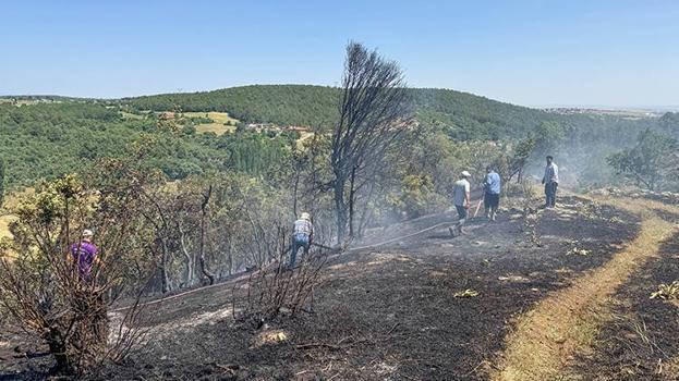 Uşak'ta ağaçlık alanda çıkan yangın söndürüldü
