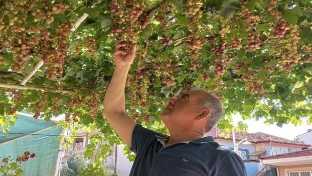 Hasattan sonra evin önünden konu komşuya ikram ediyor!