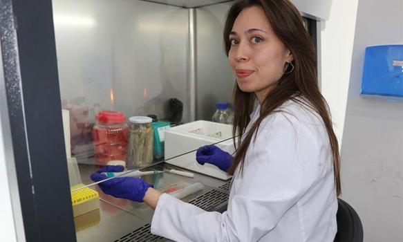Geleneksel turşular bilime konu oldu! Bitki hastalıklarına çare olacak