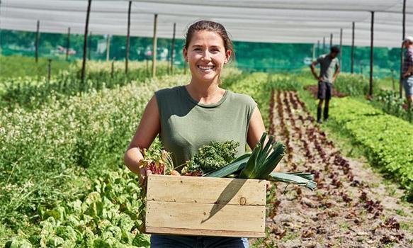 81 ide Gönüllü Hasat Etkinliği başlıyor! Detaylar belli oldu