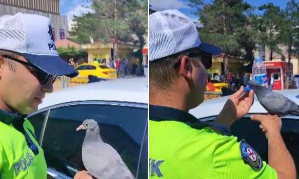 Erzincan’dan yürek ısıtan görüntüler... Valilik paylaştı, sosyal medyada viral oldu