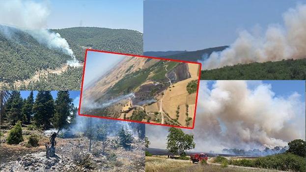 Dört bir yanda peş peşe yangın çıktı! Ekiplerin müdahalesi sürüyor