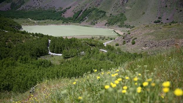Avrupa'da en seçkin yer seçildi! Bitlis'te gören akın ediyor: