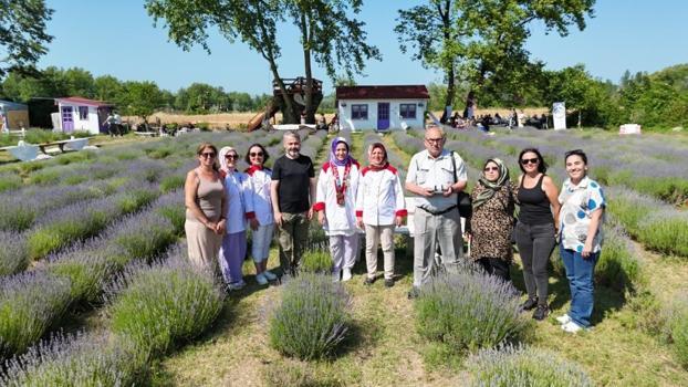Girişimci kadından lavantalı un helvası: Sinop'ta üretildi