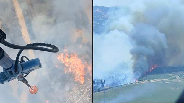 İzmir'de orman yangını! Havadan ve karadan müdahale ediliyor