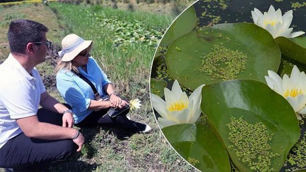 Dünya'da sadece 7 tane var: Muğla'da şifa ve bereketin sembolü olarak biliniyor, Bilim insanları gizemini çözmek için kolları sıvadı!