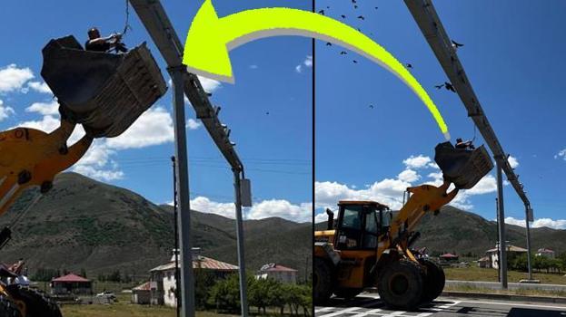Bingöl'de böylesi görülmedi! Hem kargalar hem de insanlar onu kurtarmak için seferber oldu