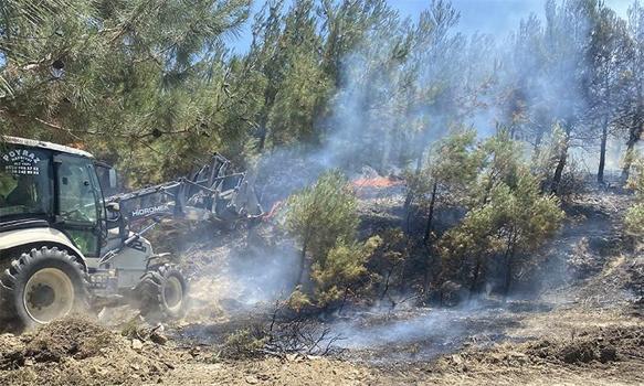 Çanakkale'de orman yangını: Alevler köye ulaştı! Jandarma ve köylüler seferber oldu