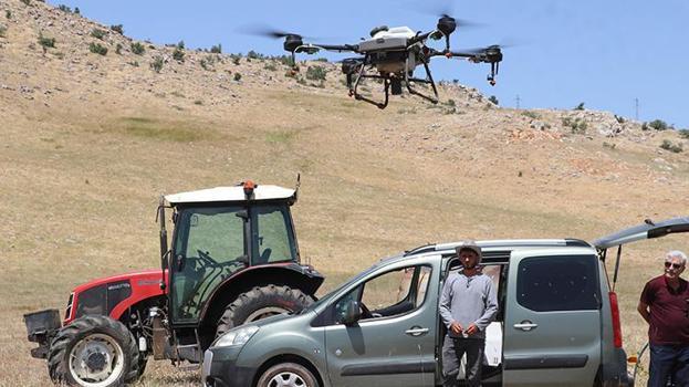 Siirt'te çekirge sürüsüne ilaçlı çözüm! Bahçelerde büyük zarar var