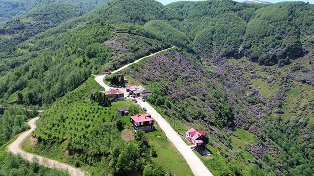 Yatağa bağımlı meslektaşının yayla hasretini drone görüntüleriyle dindirdi! Trabzon yaylaları drone ile yatağına geldi!