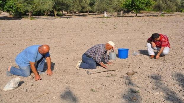Manisa'da 10 bin dekarda ekim başladı: 300 yıllık tohum geleneği var