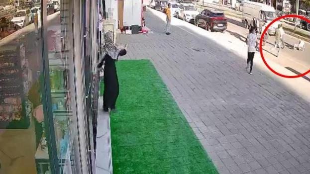 Midyat'ta çıkan kavga can aldı! Dengesini kaybedip yola düştü araç üstünden geçti