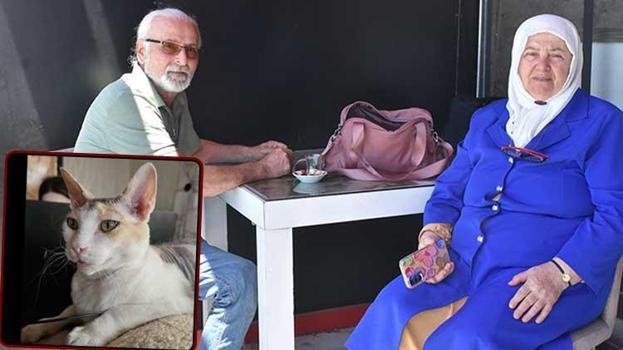 Minibüsten kaçtı, ödül bile koydular! Yaşlı çift 3 gündür Sivas'ta 'zorunlu' misafir