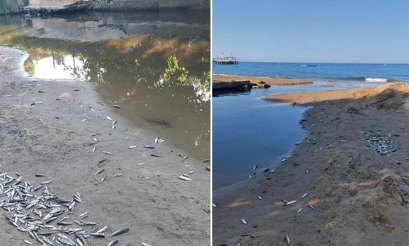 Antalya'dan korkutan görüntü! Manavgat'ta alarma geçildi, inceleme başlatıldı