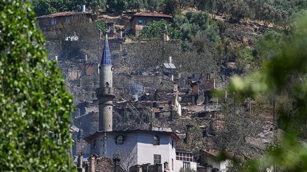 İzmir'de hiçbir işe yaramadı! Artık hayalet köy oldu: Hepsi öldü, 40 yıllık emek gitti
