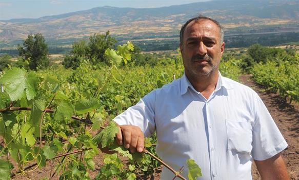 Tokat'ta nöbet tutmaya başladılar: Tam 1 tonu çalındı