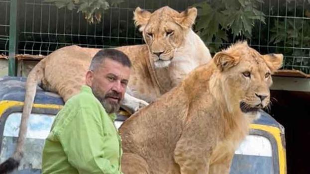 Antalya'daki aslan saldırısının ardından sahibi konuştu: 'İnsanlara saldırmazdı, sosyal bir hayvandı'