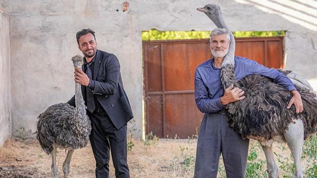 Diyarbakır'da yalnızlıktan anksiyete bozukluğu başlayan 'firari' deve kuşu muradına erdi!