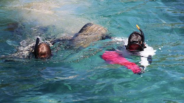 Bodrum'da denizin dibinden çıkanlar görenleri hayrete düşürdü: Tam 98 kilo!