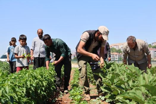 "Vatandaş sebzeyi pahalı almasın" dedi! Market ve hal fiyatlarının yüzde 50 altına satacak