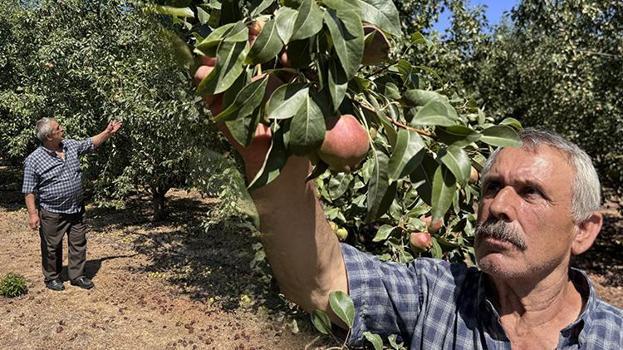Emekli olduktan sonra kazancı daha çok arttı! Bursa'da gördüğünü Zonguldak'a uyguladı