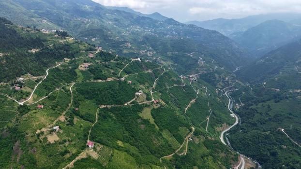 Trabzon ABD'nin Washington'unu geçti: Bu özellik Türkiye'de hiçbir şehirde yok!