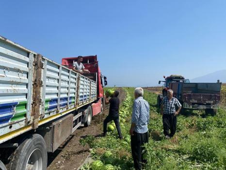 Tarlada fiyatlar 1 liraya kadar düştü! Zarar eden çiftçinin duası kabul oldu