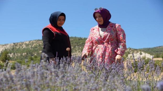 Emekli maaşı yetmedi, köyüne döndü: Konya'da başladı, Karaman'da 4 ton yağ üretmeye başladı