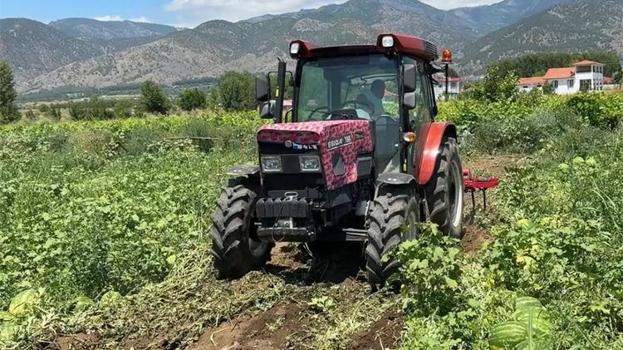 Tokat'ta tam 20 ton ürünle hasat bitti! Mahsul tarladan kalktı, 10 bin TL'den satış başladı