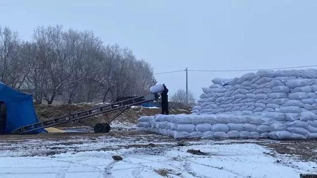 Gurbeti değil köyünü tercih etti: Köyde 200 dönüme tesis kurdu! Ton başına 3 bin TL kazanıyor
