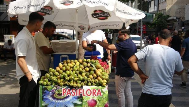 Mersin'de doğadan bedava toplanıyor: Kendiliğinden yetişiyor, gelir kapısı oldu! 'Tanesi 10 lira'