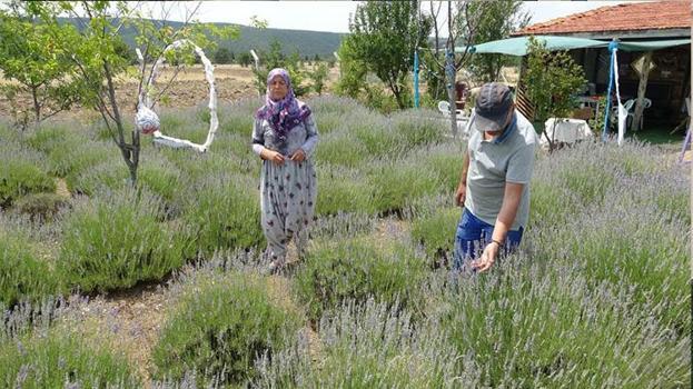 Kütahya'da hobi olarak başladılar geçim kapısı oldu! 1,5 dönümden 30 dönüme çıkardılar