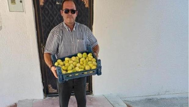Damak çatlatan lezzette hasat başladı! Fiyatlar 200 liradan 80 liraya kadar düştü