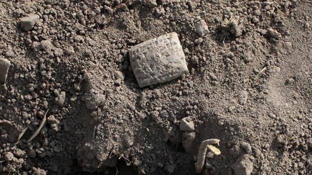 Sivas'ta tarlada bulundu! 23 kişi bir araya gelip sırrı çözdü: Parmak kadar, ortasında delik var