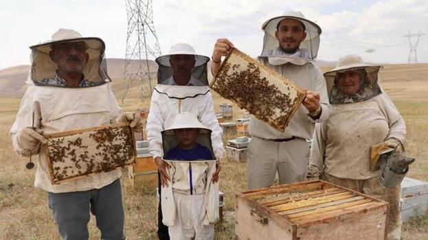 Ağrı'da bal üretimine kadın eli değdi! 60 yaşında ama bir günde yaptığı işleri duyan yoruluyor