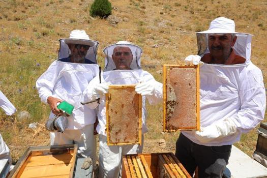 Pervari mi Anzer mi derken en iyi bal Maraş'tan çıktı! 22 bin ton üretildi