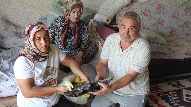 Serik'teki yangında umutları kül oldu! Merkez Bankası'na başvurdular