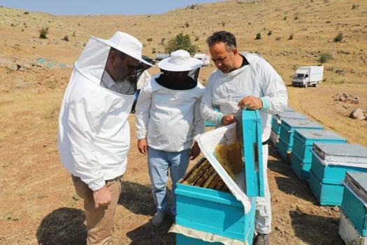 Niğde'de üniversitede faaliyete geçtiler! Tam 2 ton hasat edildi
