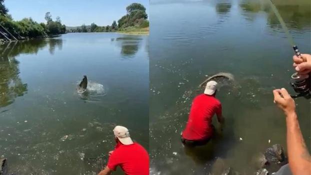 Meriç Nehri'nde 73 kiloluk yayın balığı yakalandı