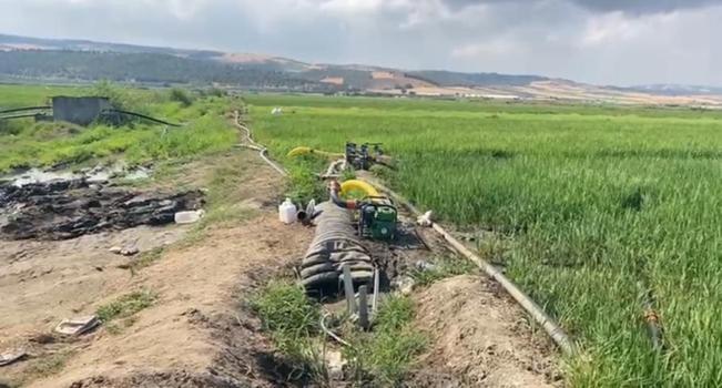 Kuraklık tehlikesi! Gönen Ovası'nda çeltik tarlaları susuz kaldı