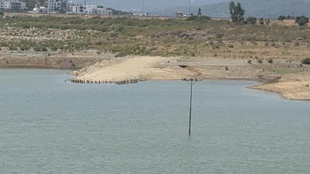 Bodrum'da su kalmadı: Barajlar kritik seviyeye geriledi