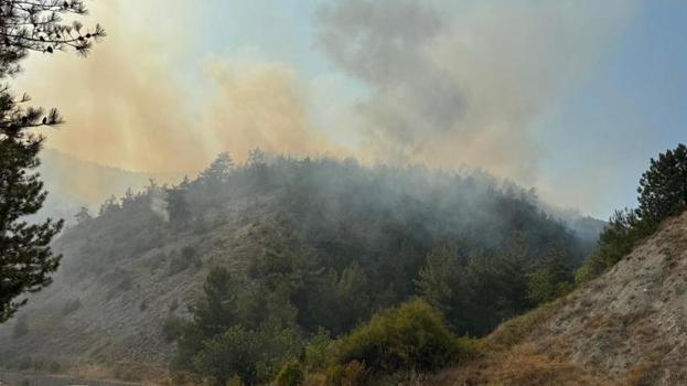 Karabük'te orman yangını! Ekipler müdahale ediyor