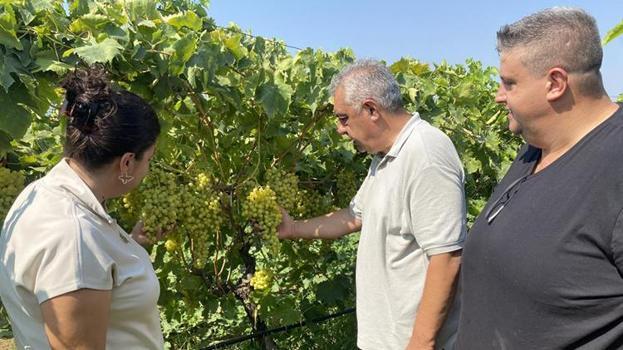 40'ından sonra üniversiteyi birincilikle bitirdi, şimdi eşiyle imkansızı başarıyor: Kimyasal kullanmadan 40 ton ürün elde etti!