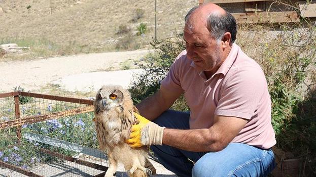Bayburt'ta muhtar yaralı halde gördü, bir hafta boyunca evinde baktı!