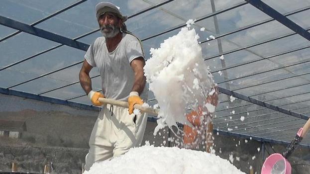 Osmanlı’dan gelen 450 yıllık mucize: Dünyada sadece Kemah'da var! 2 bin ton üretilecek