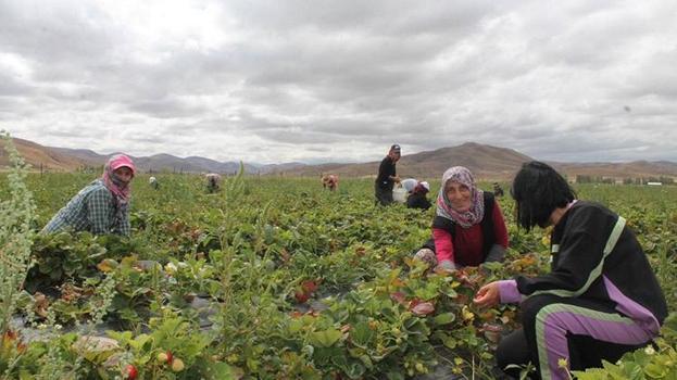 'Ya tutarsa' diyerek bu işe başladı! Memleketini üretim üssüne çevirdi, kazancını katladı, siparişe yetişemiyor