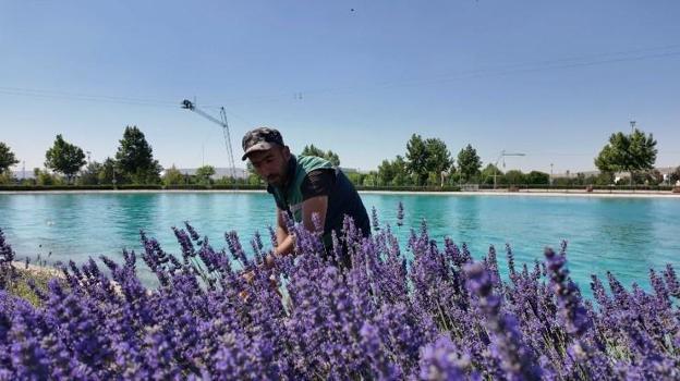 Kayseri'de 8 bölgede ekildi: Şehri kokusu sardı! Üretimi de var